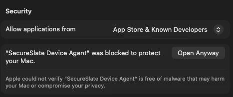 System Settings Privacy & Security showing the Open Anyway button